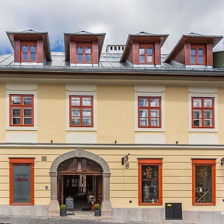 Dom Berg Lägenhet Banská Štiavnica Exteriör bild